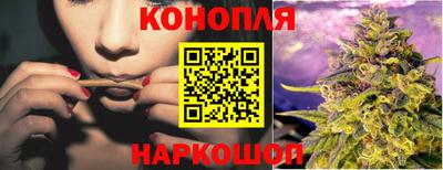 гидропоника Камень-на-Оби