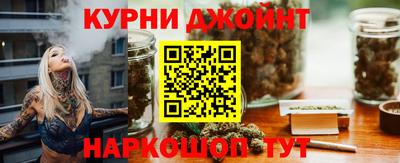 мдпв Бийск